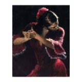 Flamenco V by Perez, Fabian