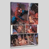 The Amazing Spider-Man #596 by Marvel Comics