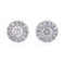 0.25 ctw Diamond Earrings - 14KT White Gold