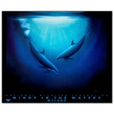 Minds in the Waters by Wyland