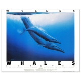 Blue Whales by Wyland