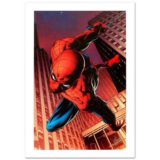 Amazing Spider-Man #641 by Stan Lee - Marvel Comics
