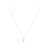 Tiffany and Company Elsa Peretti Teardrop Pendant with Chain - 18KT Yellow Gold