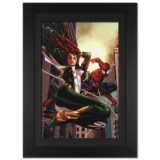 Amazing Spider-Man Family #6 by Stan Lee - Marvel Comics