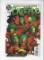Creeper Issue #11 by DC Comics