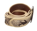 Dolce & Gabbana Snake Print Jewel Buckle Belt