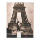 Eiffel Tower by 