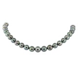 Tahitian Pearl Necklace - 14KT White Gold