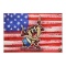 Patriotic Series: Taz by Looney Tunes