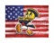 Warner Brothers Hologram Tweety with Flag