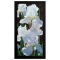 Enchanting Irises by Davis, Brian