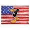 Patriotic Series: Daffy Duck by Looney Tunes