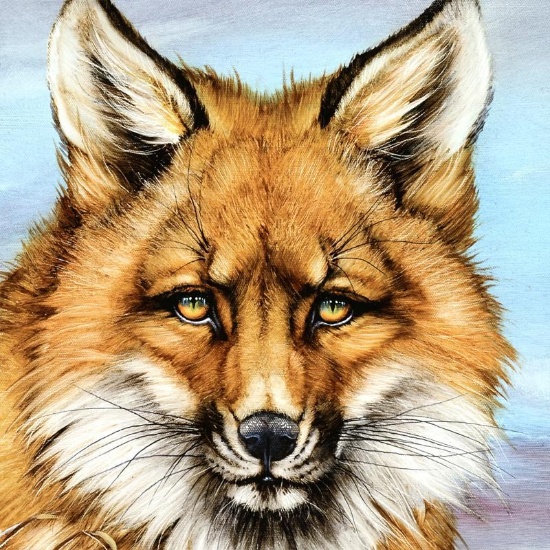 Fantastic Fox by Katon, Martin