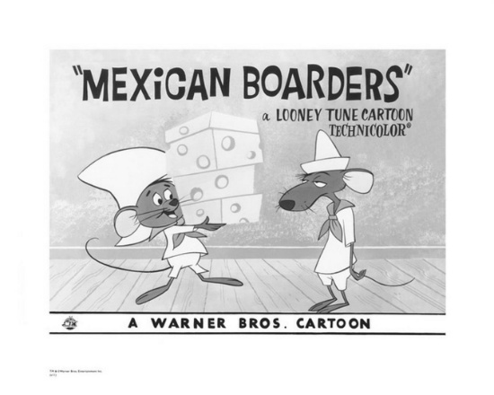 Warner Brothers Hologram Mexican Boarders