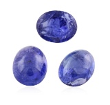 22.9 ctw. Oval Cabochon Cut Tanzanite Parcel