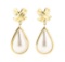 0.08 ctw Diamond and Mother of Pearl Dangle Earrings - 14KT Yellow Gold