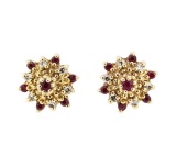 0.25 ctw Ruby and Diamond Starbust Studs - 14KT Yellow Gold