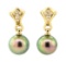 0.15 ctw Diamond and Pearl Earrings - 18KT Yellow Gold