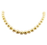 South Sea Pearl Necklace - 14KT Yellow Gold