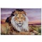 African Lion by Katon, Martin