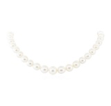 South Sea Pearl Necklace - 14KT White Gold