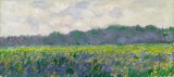 Claude Monet - Field of Yellow Irises