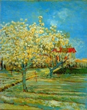 Van Gogh - Orchard