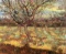 Van Gogh - Apricot Trees In Blossom 2