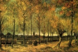 Van Gogh - Lane With Poplars