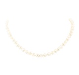 Akoya Pearl Necklace - 14KT Yellow Gold