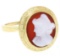 Vintage 14kt Yellow Gold Carved Shell Cameo Ring w/ Detailed Border