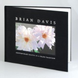 Brian Davis, 