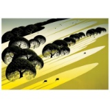 Eyvind Earle (1916-2000), 