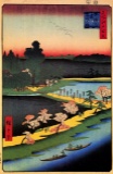 Hiroshige Azuma Shrine and the Entwined Camphor