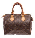 Louis Vuitton Brown Speedy 25 cm Satchel Bag