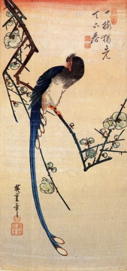 Hiroshige Blue Bird on a Plum Tree