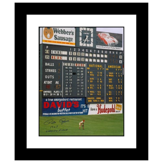 "Rose in Outfield at Crosley" Framed Archival Photograph Featuring Pete Rose Tak