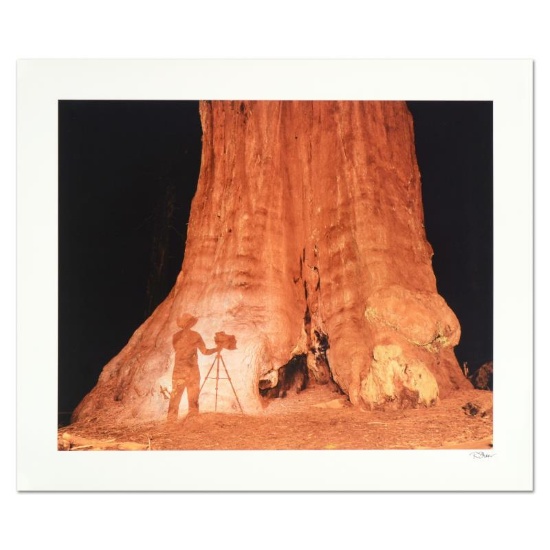 Robert Sheer, "Young Ansel at the Sequoias" Limited Edition Single Exposure Phot