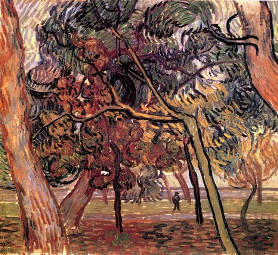 Van Gogh - Study Of Pine Trees