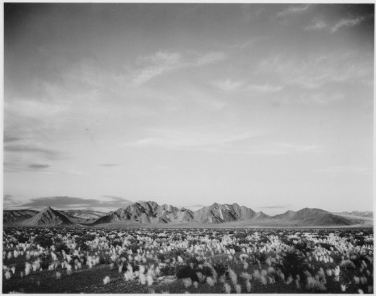 Adams - Death Valley 3