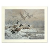 Winter Retreat - Canada Geese by Fanning (1938-2014)