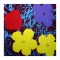 Flowers 11.71 by Warhol, Andy