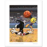 Sylester & Tweety Basketball by Looney Tunes