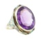 17.32 ctw Amethyst and Multi-Colored Enamel Ring - 14KT Yellow Gold