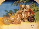 Hokusai - Tschin - The Pet Dog