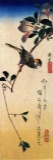 Hiroshige Java Sparrow and Magnolia