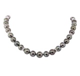 0.67 ctw Diamond and Tahitian Pearl Necklace - 14KT White Gold