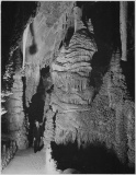 Adams - Carlsbad Caverns National Park New Mexico 2
