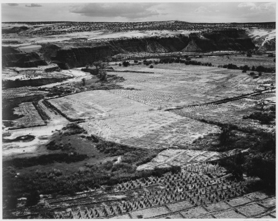 Adams - Corn Field, Indian Farm near Tuba City, Arizona 1941