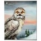 Snow Owl in Alaska by Katon, Martin